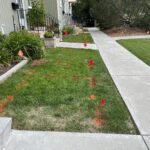 Utility Locate